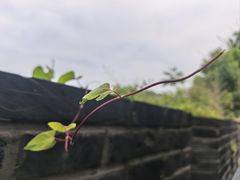 -虞山城墙