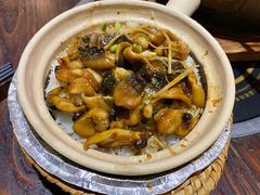 黄鳝煲仔饭-七寸飝大饭店(马场店)