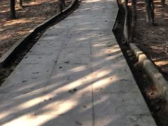 -火炉山森林公园
