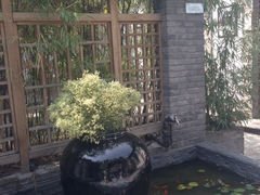 iphone_upload_pic-七贤国际青年旅舍(西七路分店)