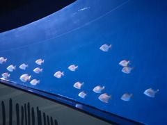 -沈阳海洋探索中心