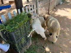 -秦皇岛野生动物园