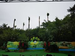 -广州长隆飞鸟乐园