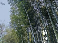 -杭州植物园