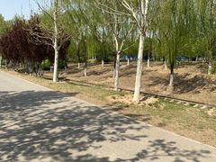 -永定河休闲森林公园