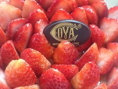 Cova(新天地北里店)-COVA(新天地Xintiandi店)
