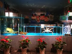 水产区-江南赋(内蒙古大厦店)
