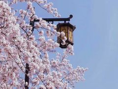 -苏州上方山国家森林公园