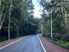 -火炉山森林公园