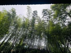 -浙江宾馆·花园餐厅·自助餐厅·茶吧