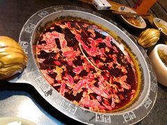 红油锅底-渝大狮毛肚老火锅(普陀店)