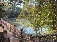 -广州白江湖森林公园