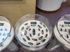 -陕西自然博物馆