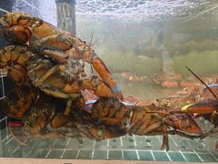 -丰卓会海鲜自助(中润大道店)