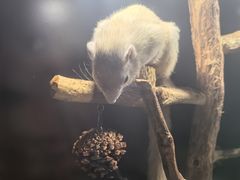 -太平洋海底世界