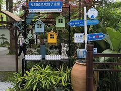 -东平国家森林公园