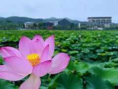 -梅州天地人花园酒店(梅县人民广场店)