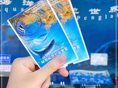 -蓬莱欧乐堡海洋极地世界