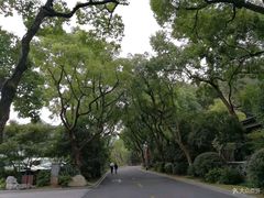 -浙江西子宾馆·瑶园咖啡厅