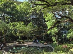 -香港大学