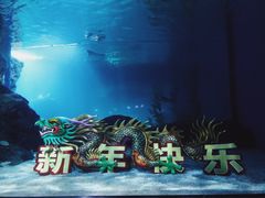 -暹罗海洋世界
