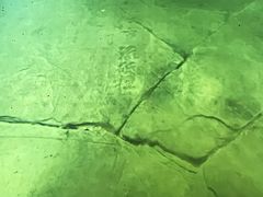 -白鹤梁水下博物馆