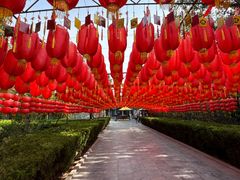 -大槐树寻根祭祖园