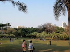 -东风公园