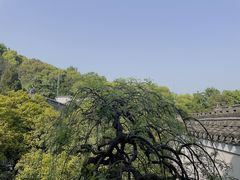 -宁波市保国寺古建筑博物馆