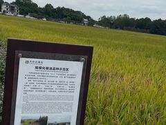 -中国天府农业博览园