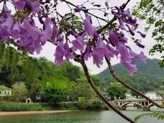 -广东温泉宾馆