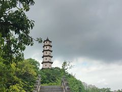 -江心屿景区