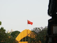 -金花茶公园