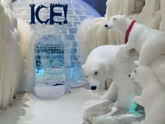 -宁波冰雪大世界(北仑区)