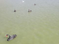 -新疆天山野生动物园