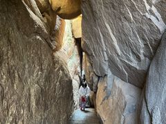 -鲁山国家森林公园