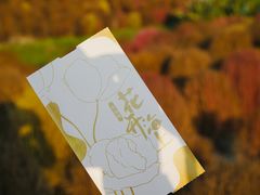-花开海上生态园