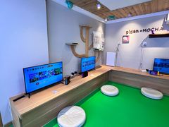 -MOCHA明星猫咖(田子坊店)