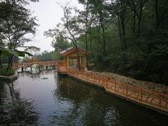 -封龙山风景区