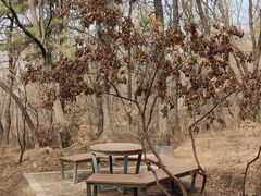 -沈阳辉山风景区