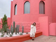 -漳州滨海火山岛自然生态风景区