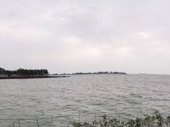 -万绿园