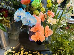 -怡花宜木鲜花店(朝阳路店)
