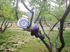 -堤角公园