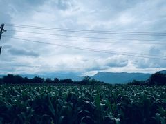 -玉湖村