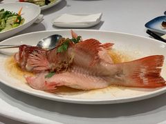 陈年花雕蒸东星斑-北京厨房(SKP店)