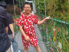 -西双版纳原始森林公园