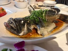 -强记海鲜·大排档(蛇口新街店)