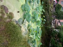 android_upload_pic-万达影城(金华万达广场IMAX店)