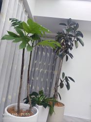 -HEYAN荷妍专业脱毛连锁机构
